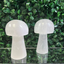 Load image into Gallery viewer, Selenite Mushroom