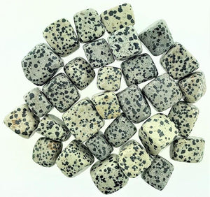 Dalmatian Jasper