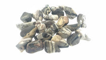 Load image into Gallery viewer, Zebra Jasper