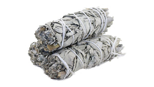 White Sage 4''